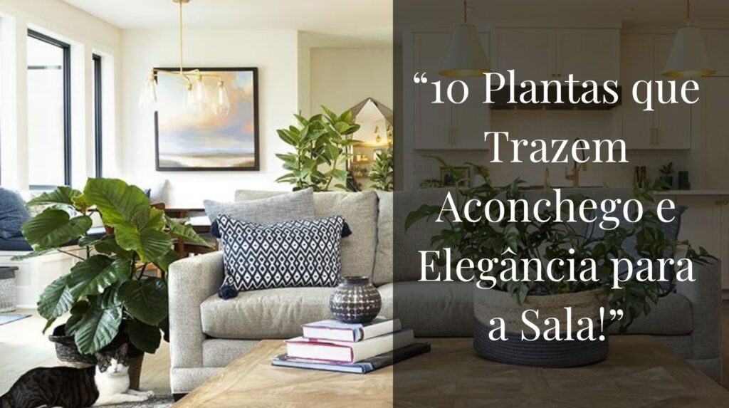 10 Plantas que Trazem Aconchego e Elegância para a Sala